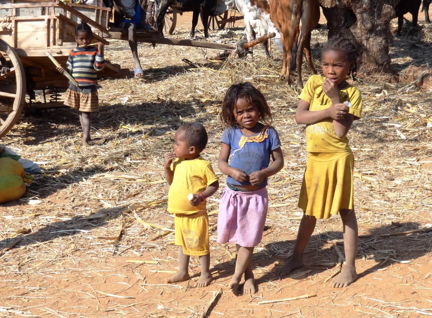 Madagascar kinderen op de markt