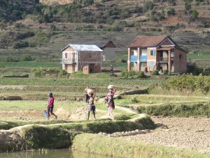 Madagascar landarbeid