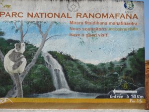 Madagascar Ranomafana National Parc