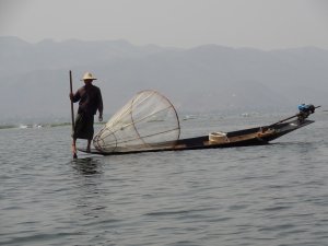 Myanmar Inle Lake beenroeier