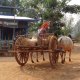 Myanmar trekking ossenkar