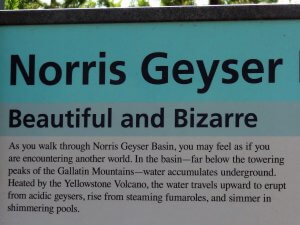 Yellowstone Norris Geyser Basin