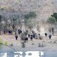 Zimbabwe Zambezi National Park